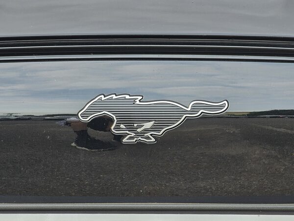 2026 Ford Mustang Mach-E